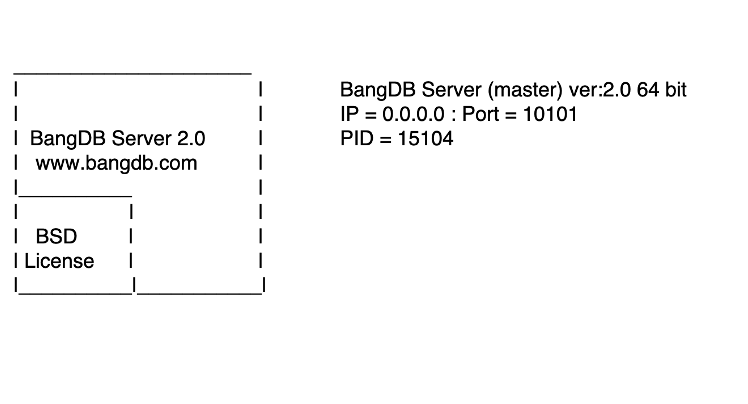 Install and run BangDB server 2.0