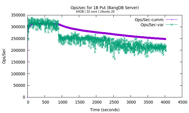 1B Put